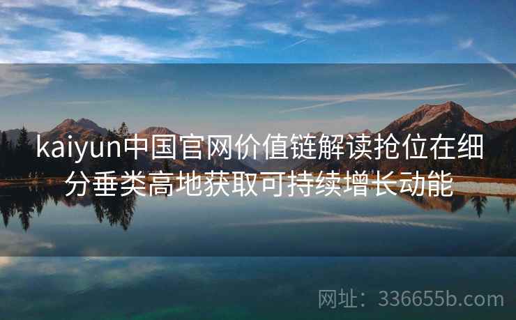kaiyun中国官网价值链解读抢位在细分垂类高地获取可持续增长动能
