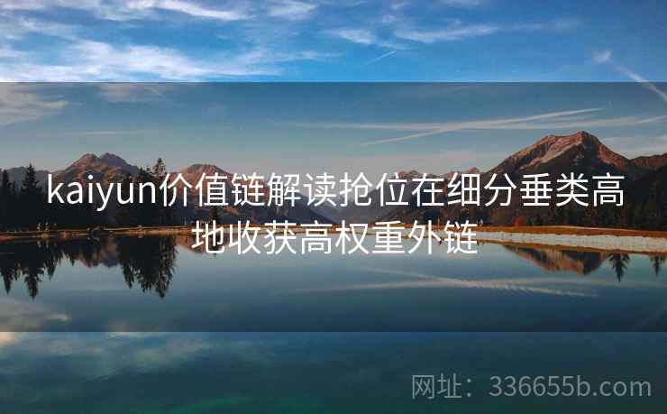 kaiyun价值链解读抢位在细分垂类高地收获高权重外链
