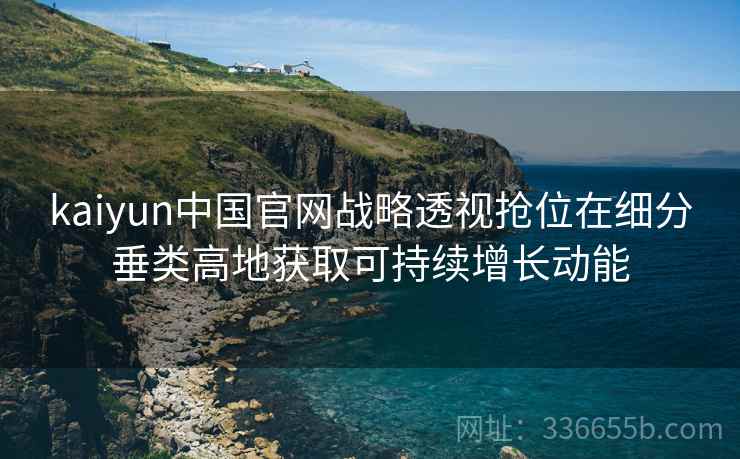 kaiyun中国官网战略透视抢位在细分垂类高地获取可持续增长动能