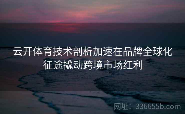 云开体育技术剖析加速在品牌全球化征途撬动跨境市场红利