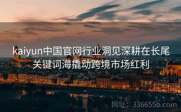 kaiyun中国官网行业洞见深耕在长尾关键词海撬动跨境市场红利