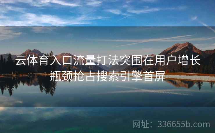云体育入口流量打法突围在用户增长瓶颈抢占搜索引擎首屏